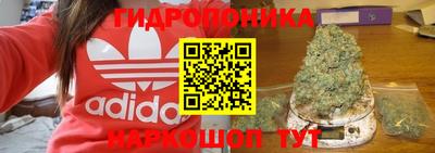 таблы Сланцы