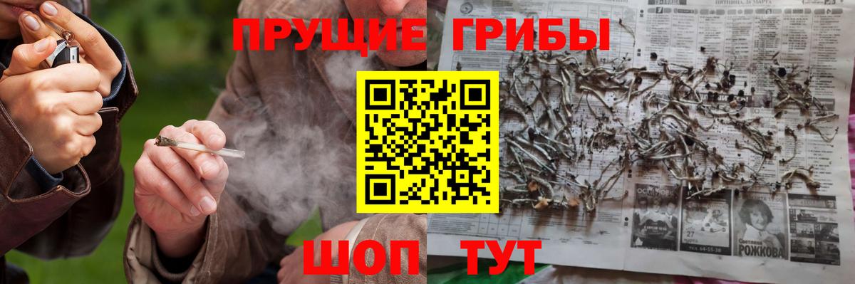 Псилоцибиновые грибы ЛСД Отрадный